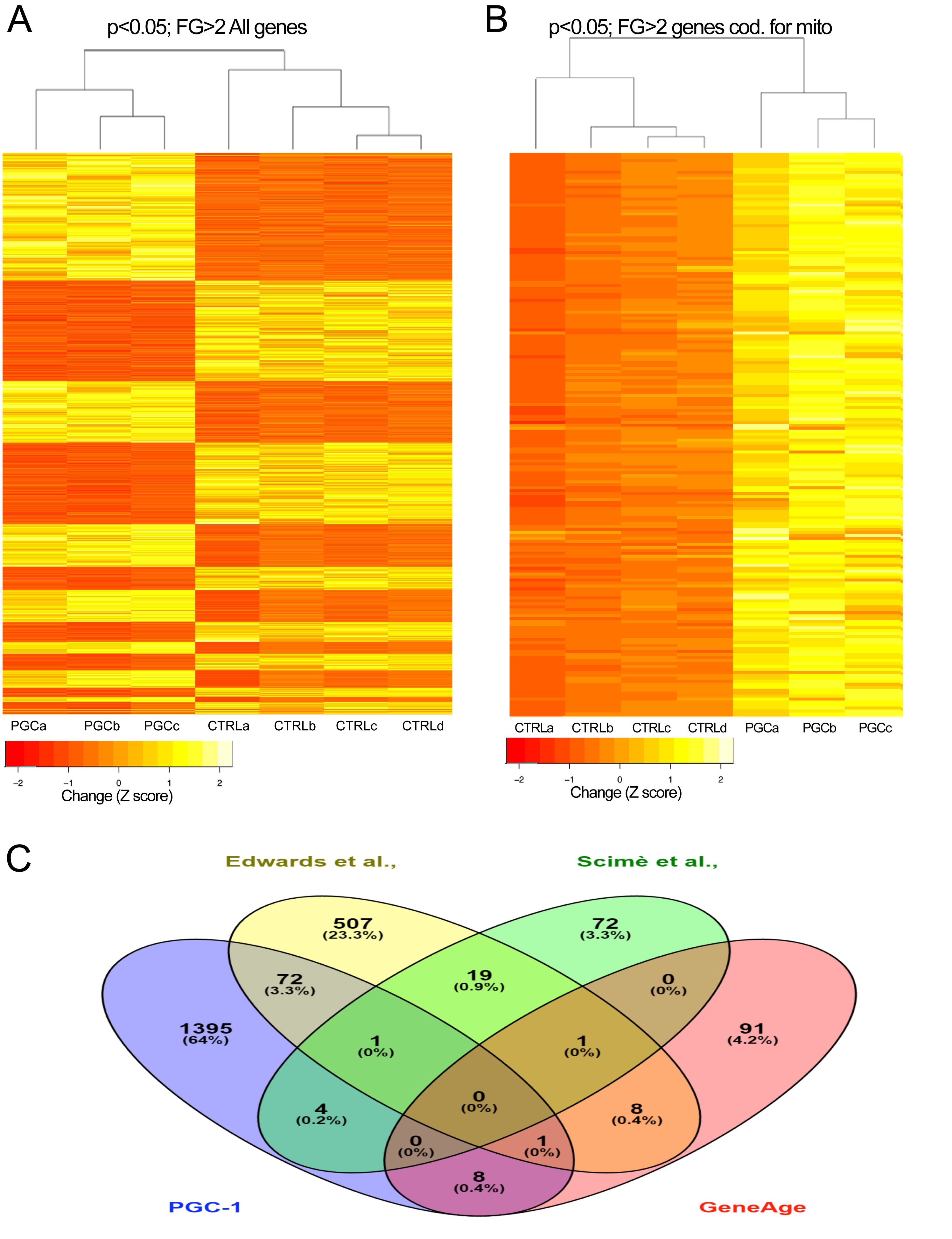 mtDNA aging heatmap